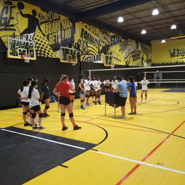 Volleyball court setup at Jungle Courts