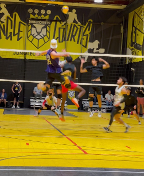 Indoor multi-sport court at Jungle Courts