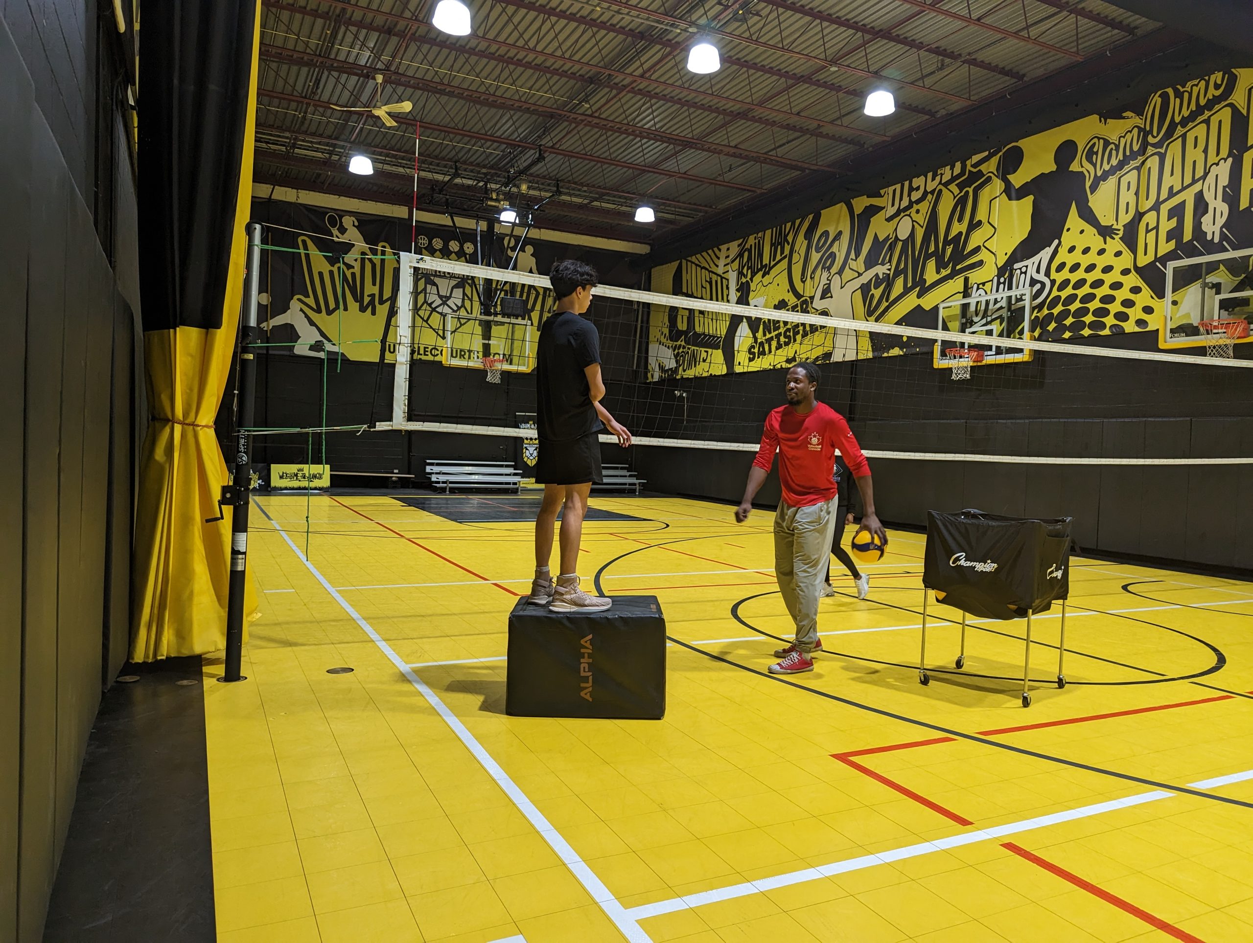 Indoor court at Jungle Courts in Pickering