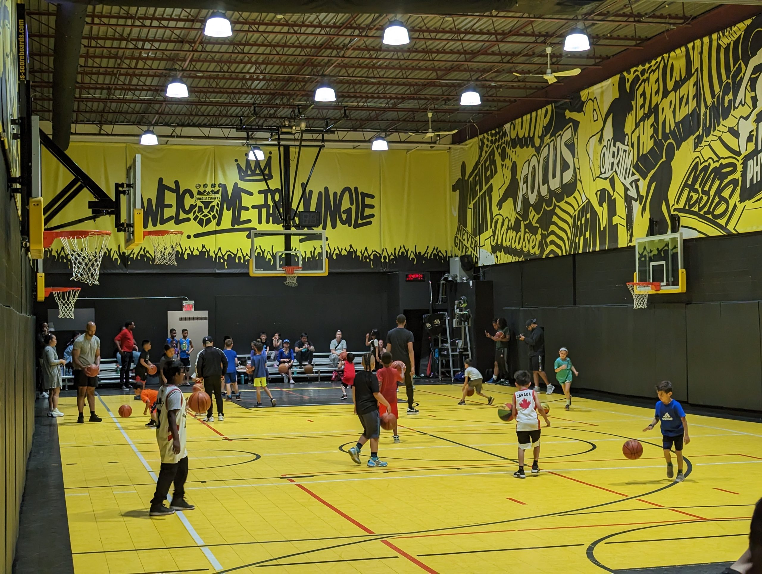 Indoor sports at Jungle Courts in Pickering